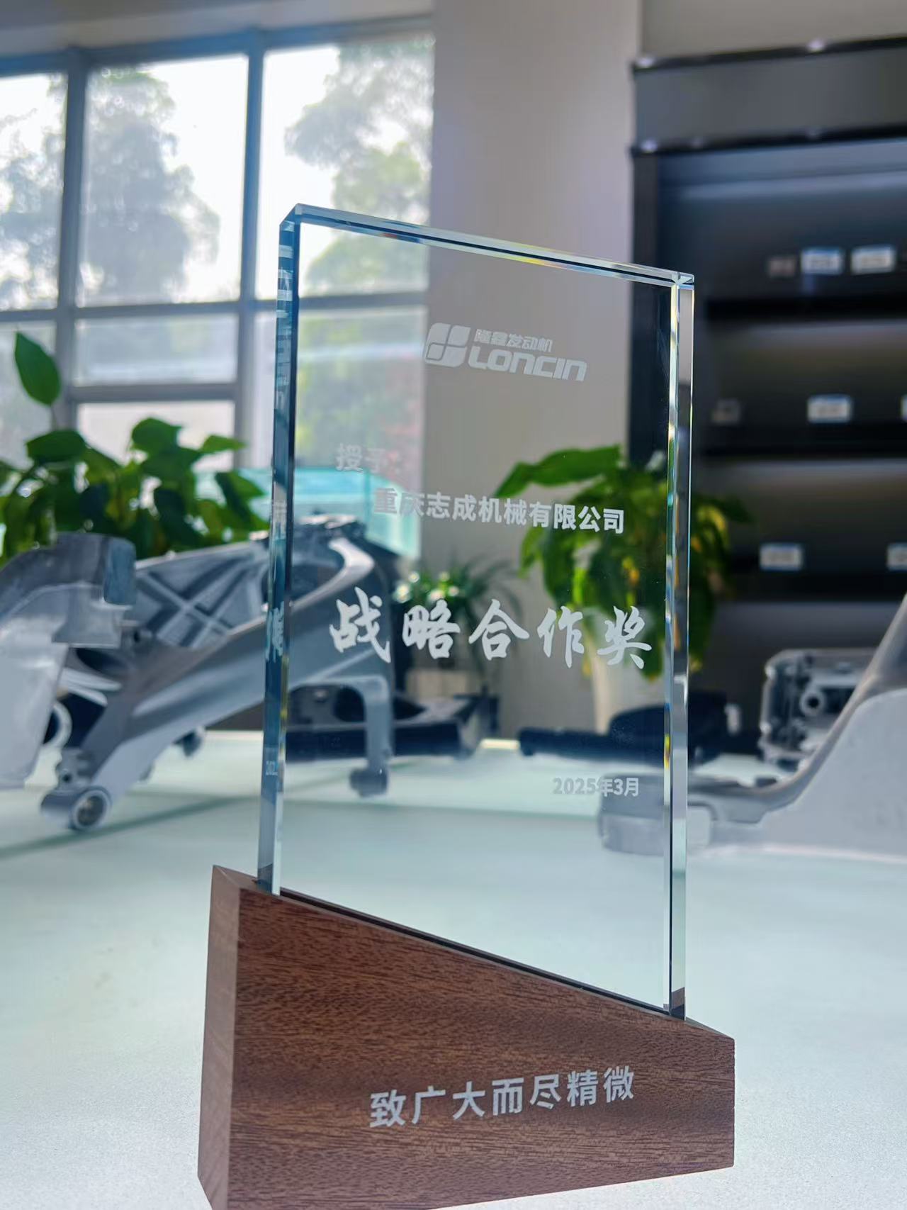 隆鑫-戰(zhàn)略合作獎(jiǎng)